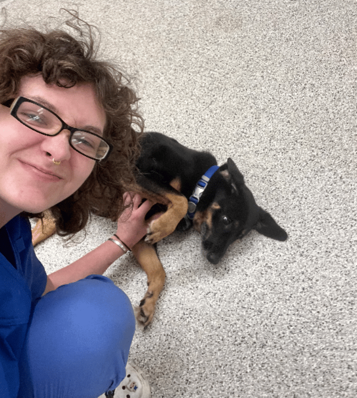 In Home Pet Sitter Liberty NC