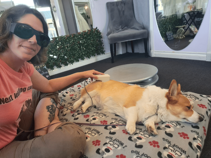 Clients big & small, we massage & heal them all