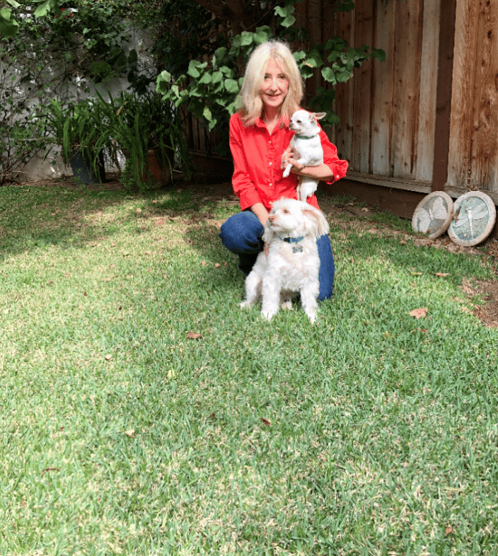 Positive Reinforcement Dog Training Fort Lauderdale FL