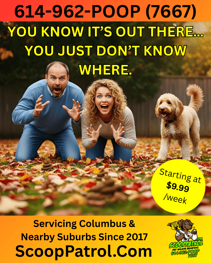 scoop patrol pet waste removal
