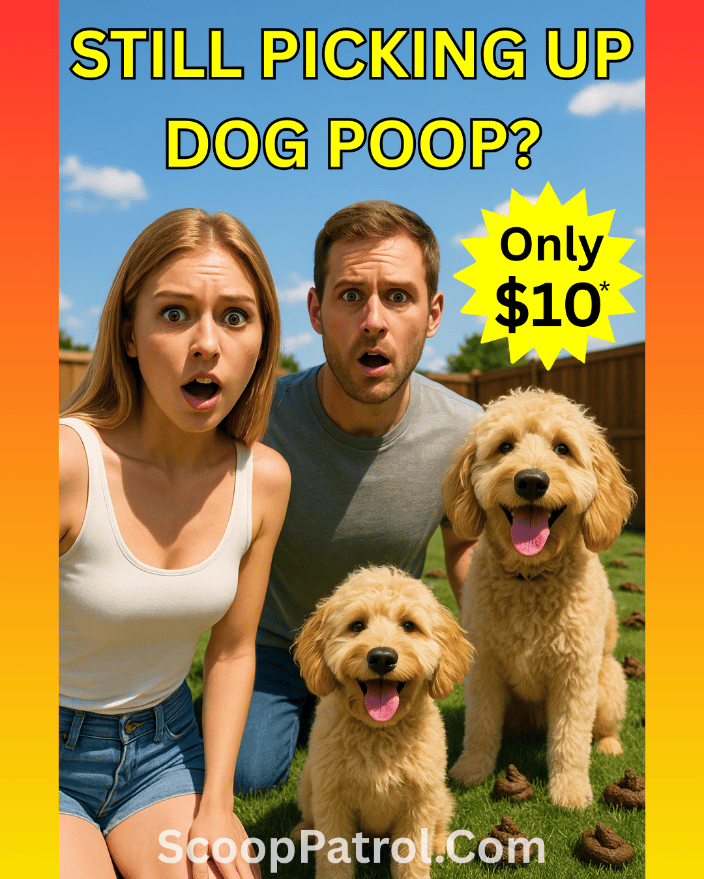 dog poop pick up New Albany, Ohio