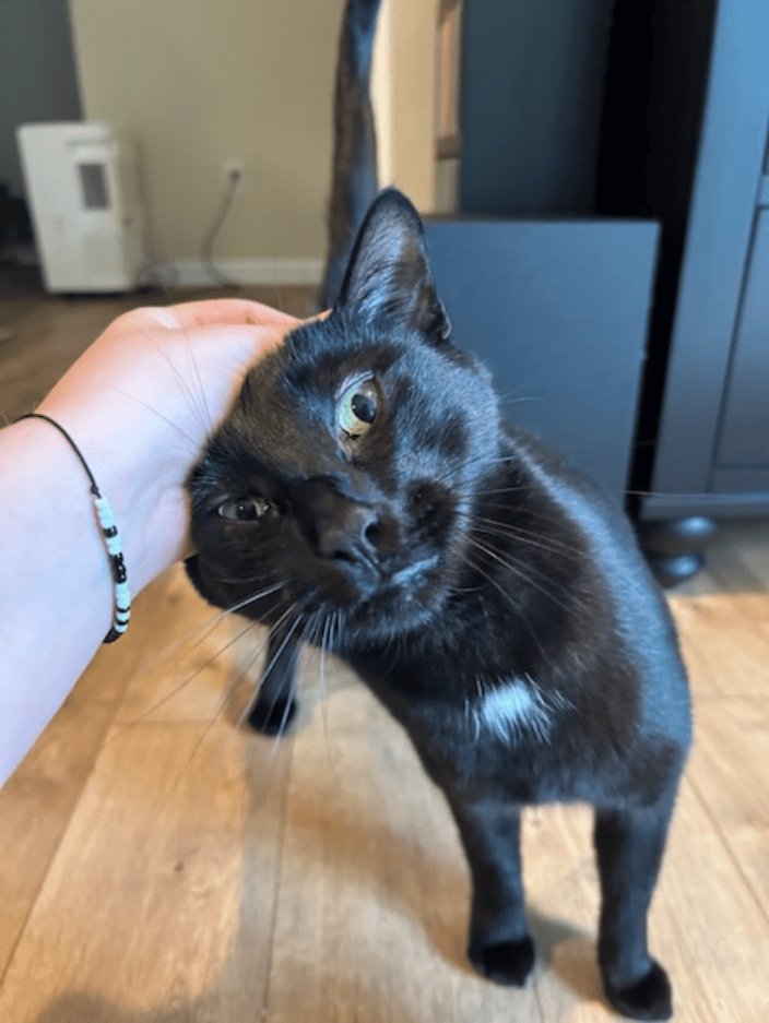Petey