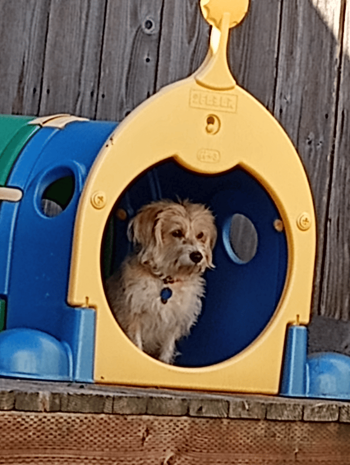 RALPHIE, EXPLORING GUS