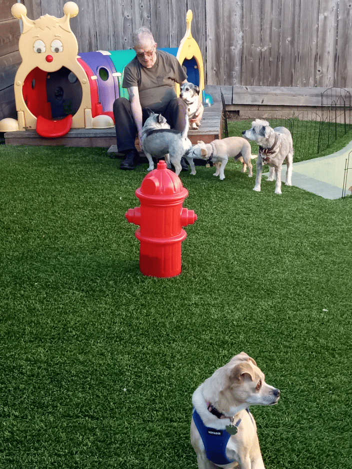 BACKYARD WITH OUR HOUSE GUEST'S