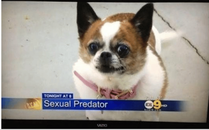 MY FAVORITE LIVE NEWS BLOOPER!