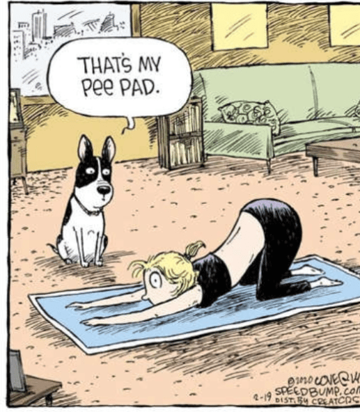 OOPS!