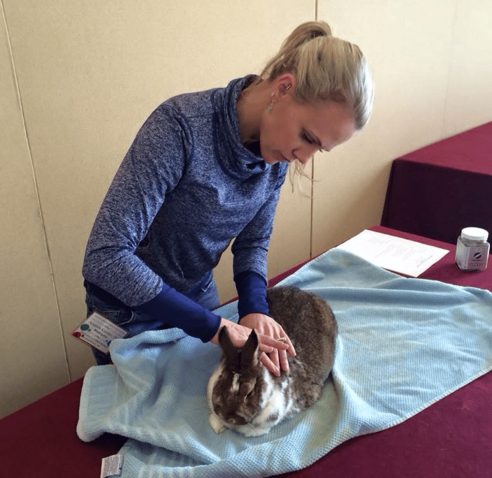 Dr. Kremer and a rabbit