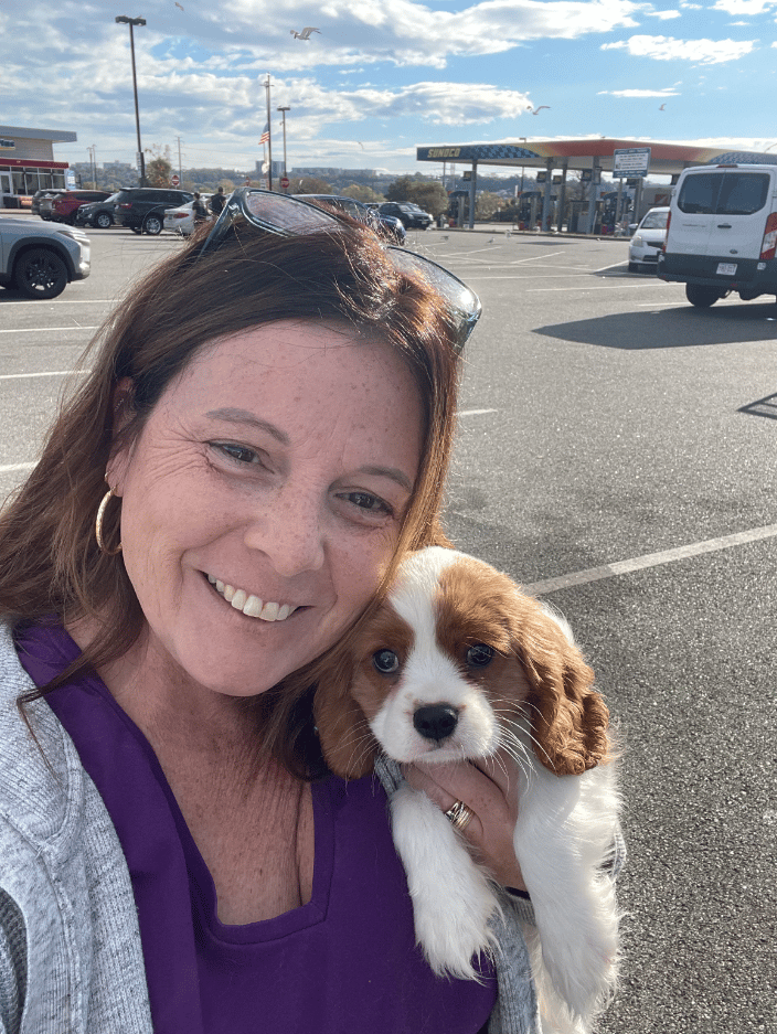 Sullivan - 9 week old King Charles Cavalier