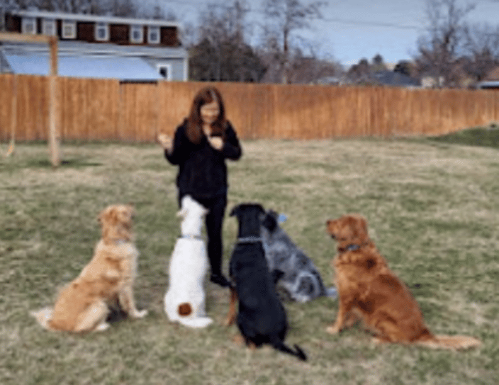 dog trainer walla walla wa