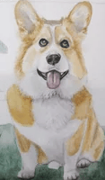 A portrait of a Corgi dog, painted in watercolor.