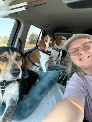 me and my beagles 