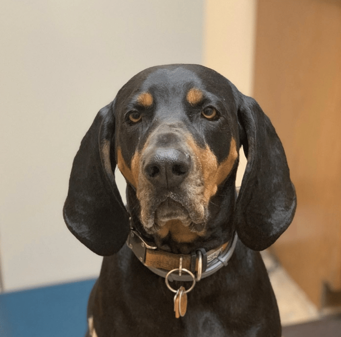 Wilson, my forever friend.