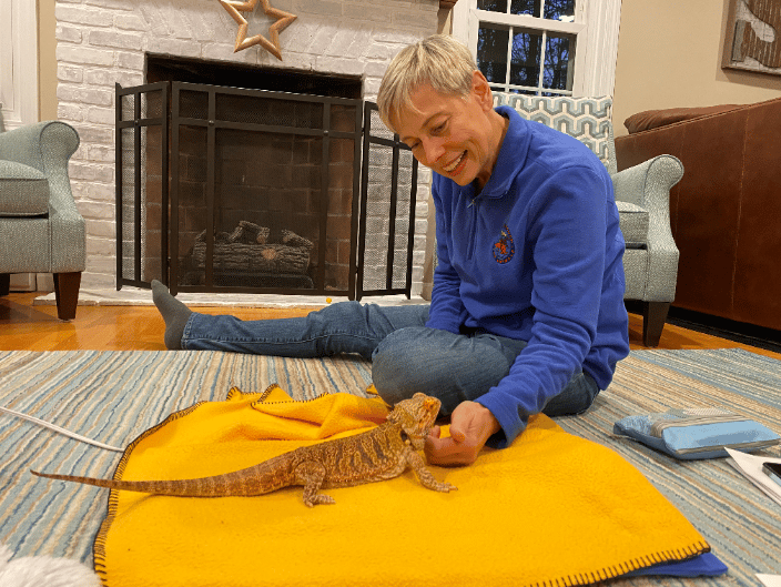 Healing Touch for Animals session with a Bearded Dragon