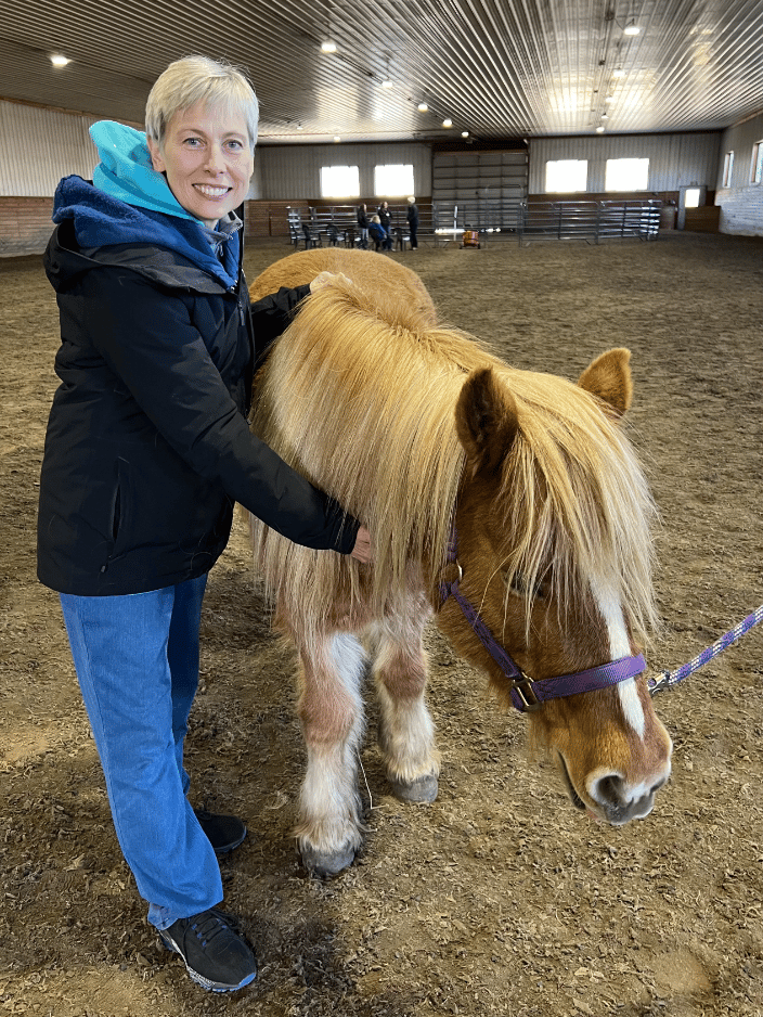 Healing Touch for Animals session with a Horse