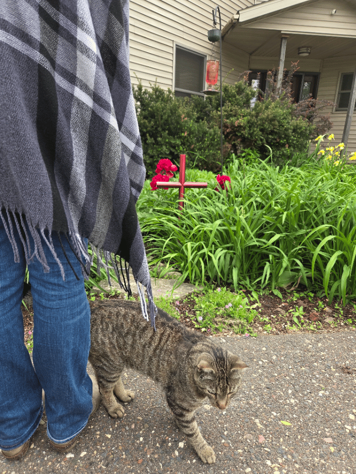 EC Ruby Red memorial urn= final resting place in flower garden. Young lady recalling the memories with her cat.