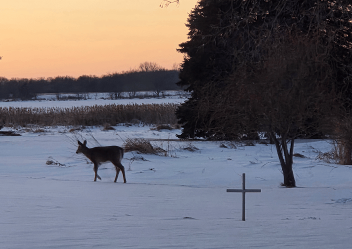 In a winter sunrise Solace embraces them as they gaze at their Everlasting Cross memorial. 