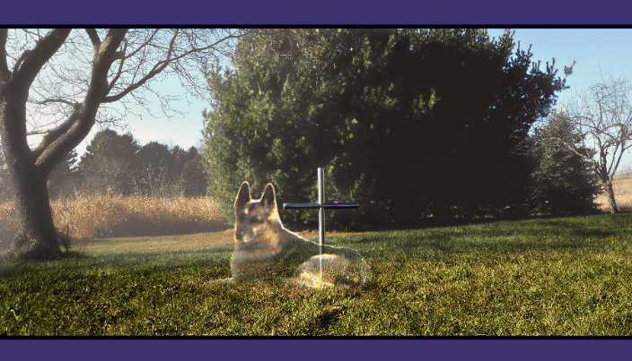 Apollo his memory will never be forgotten.  Satin Stainless Everlasting Cross outdoor memorial.