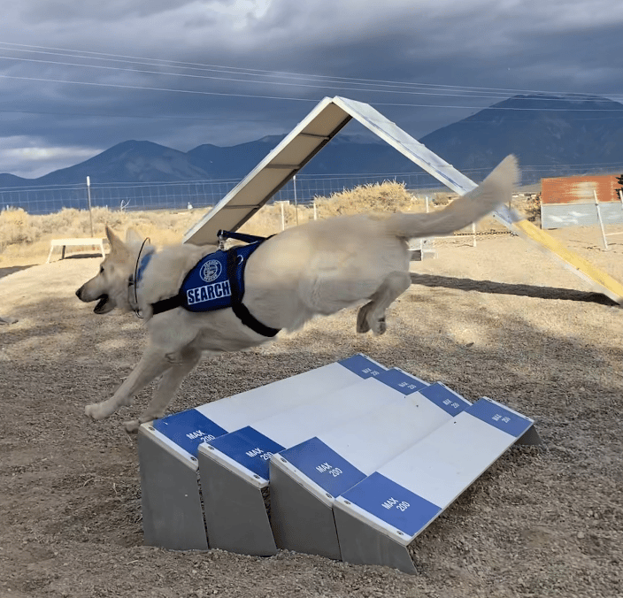 AkioYodasan jump training in agility