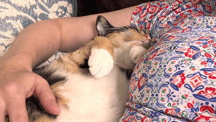 My co-worker, Morgana