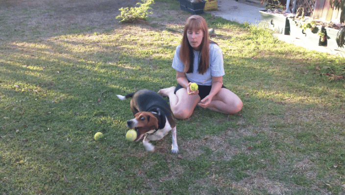 This is the best game EVER!