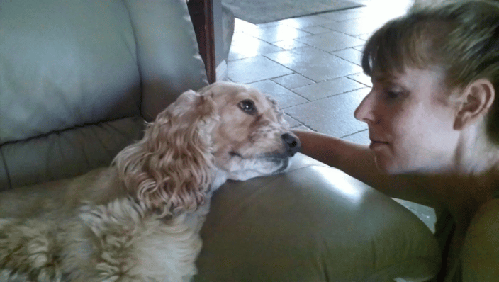 I didn't say you could stop petting my head.