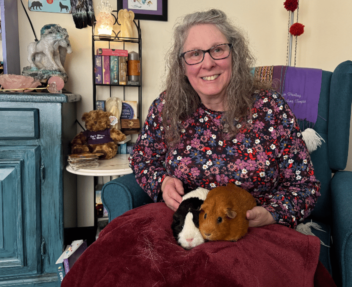 Guinea pigs I read in my office