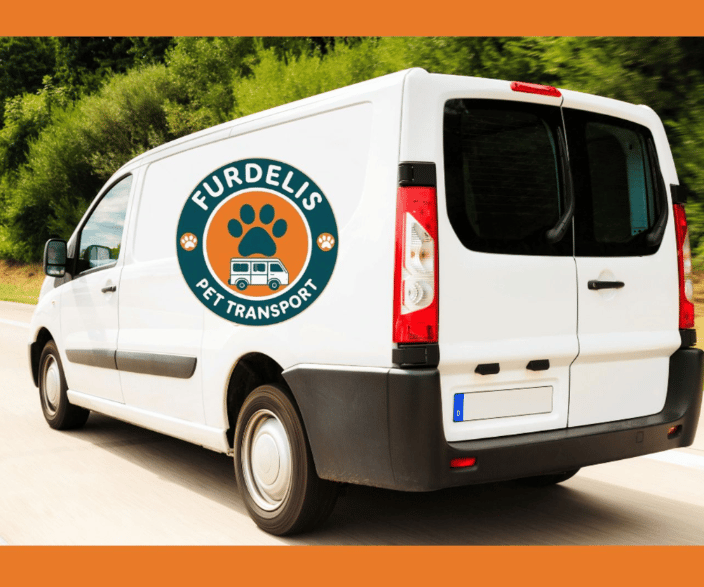 2025 Ford Transit Van