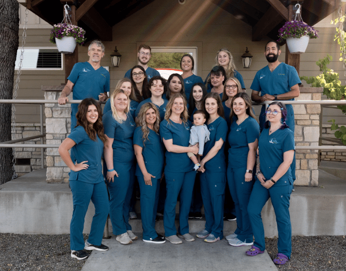 FVCO Veterinary Team