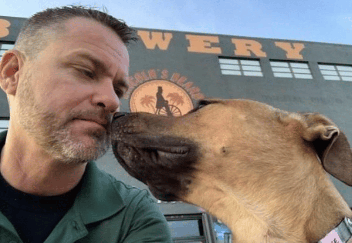 dog trainer broward county fl