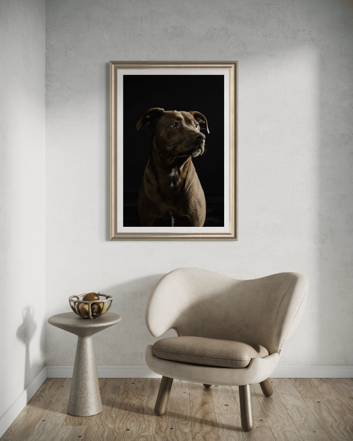 Wall portrait of client mix breed dog