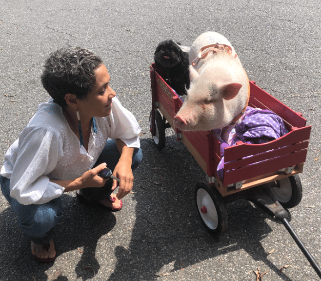 Serving All Animals Big and Small