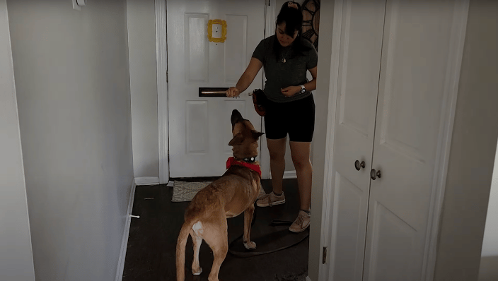 Fina Garcia doing an in-home training session