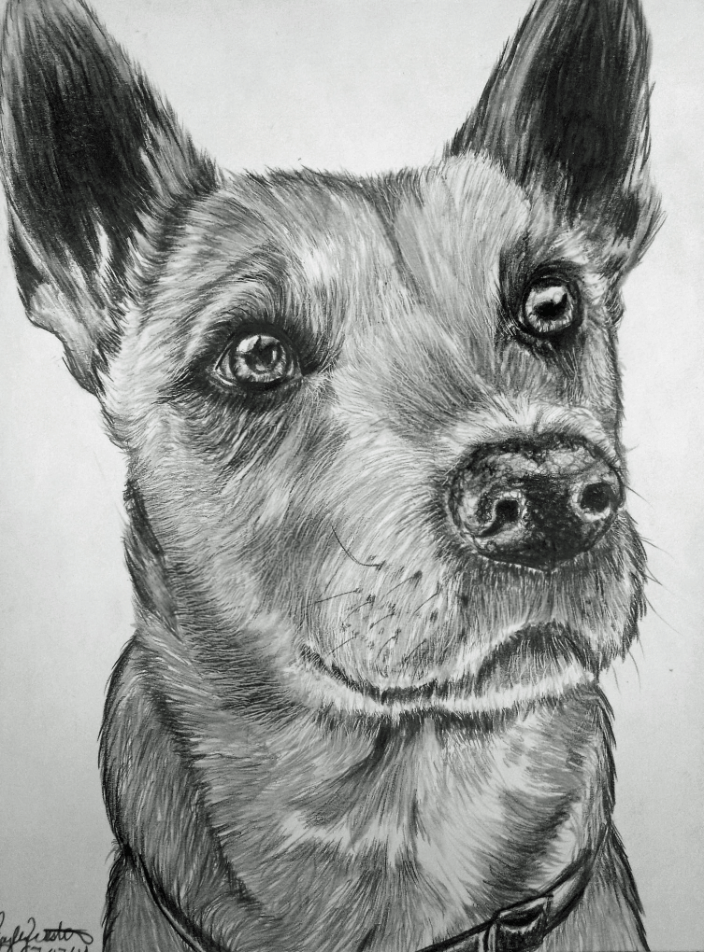 Caramel, in Graphite 