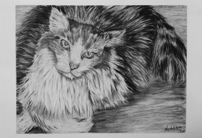 Squeaky, in Charcoal