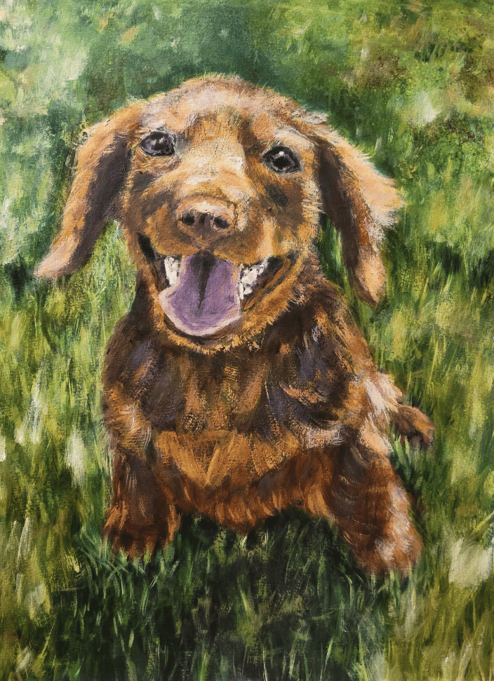 Otis the Dachshund Puppy, Oil