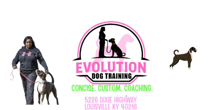 dog training Louisville KY