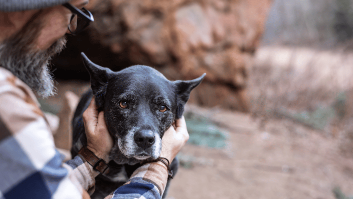 Man with older black dog