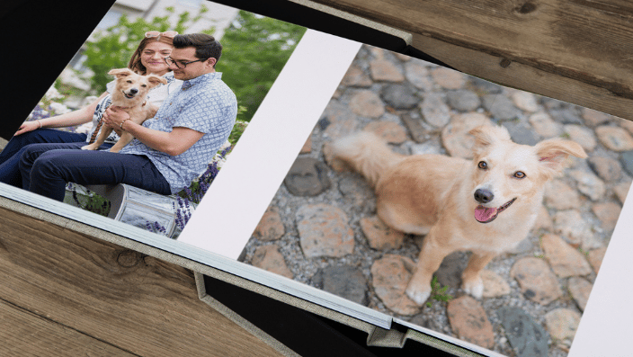 Album with photos of puppy and their people