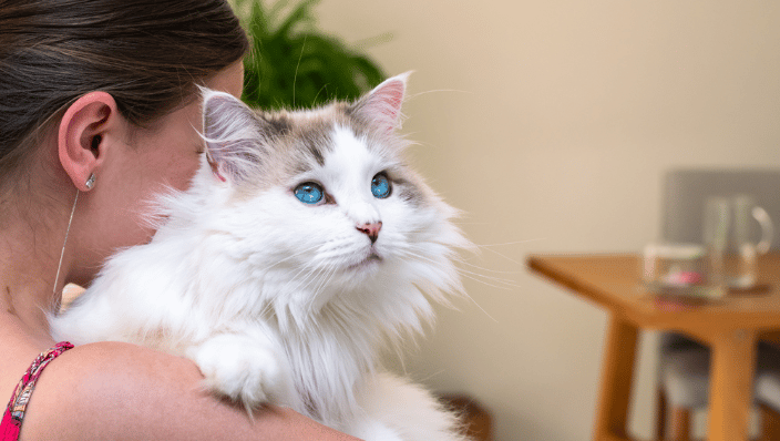 Woman holding long haired cat
