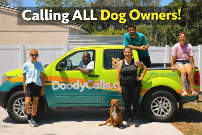 Meet the TEAM! Rain or shine your yard is our top priority! 