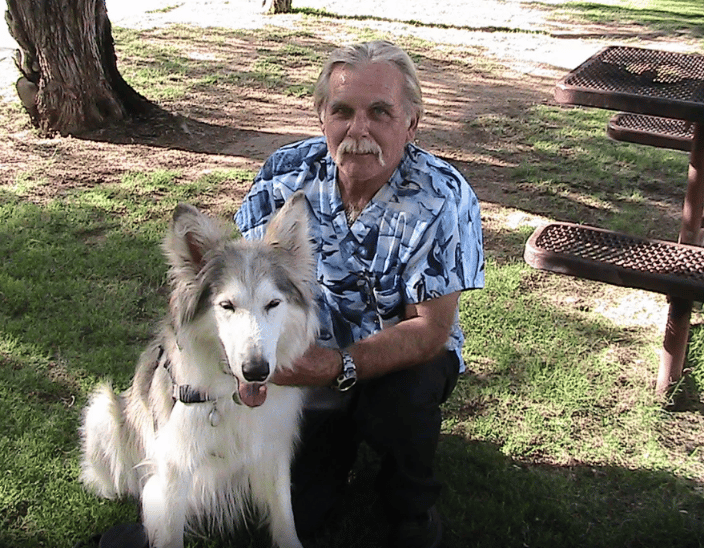 animal chiropractor phoenix az