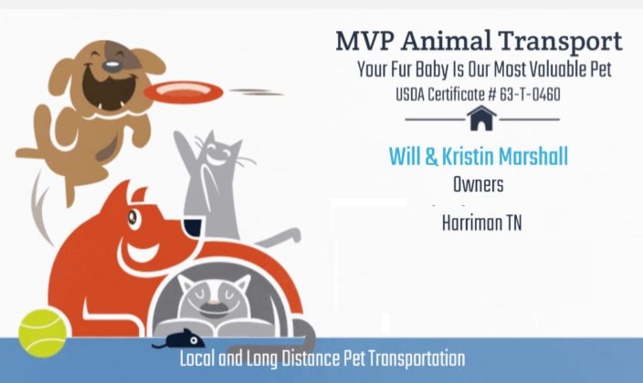 pet transportation tennessee