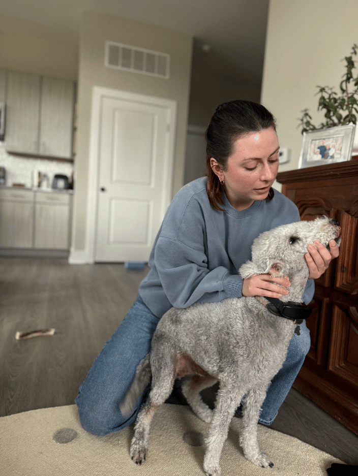dr. kristin adjusting a dog