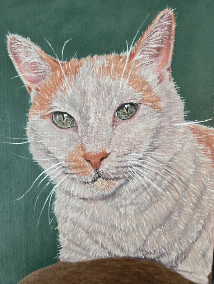 Cat portrait on 11" x 14" canvas