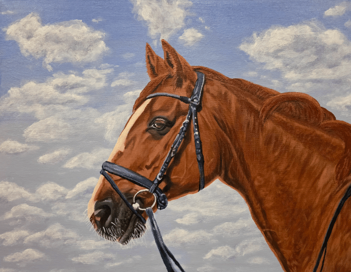 Horse portrait on 11" x 14" canvas