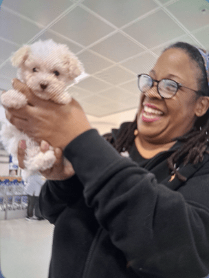 Puppy delivery to Phoenix 2026