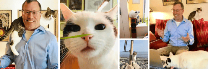 cat behaviorist new york city ny