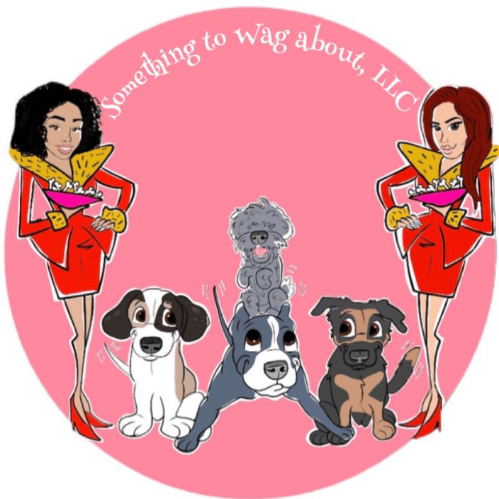 pet flight nanny St. Louis MO