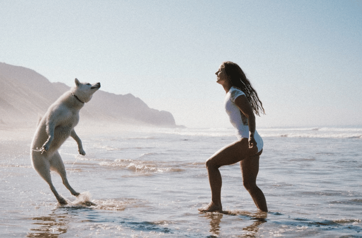 pet photographer Encino, CA