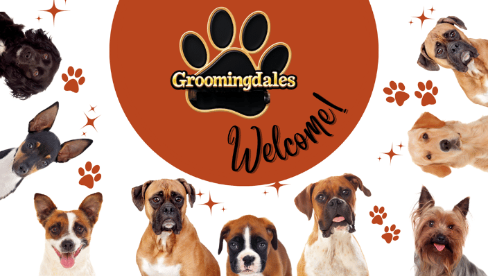 pet taxi Norfolk, VA